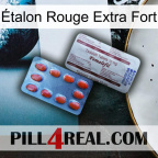 Étalon Rouge Extra Fort 36